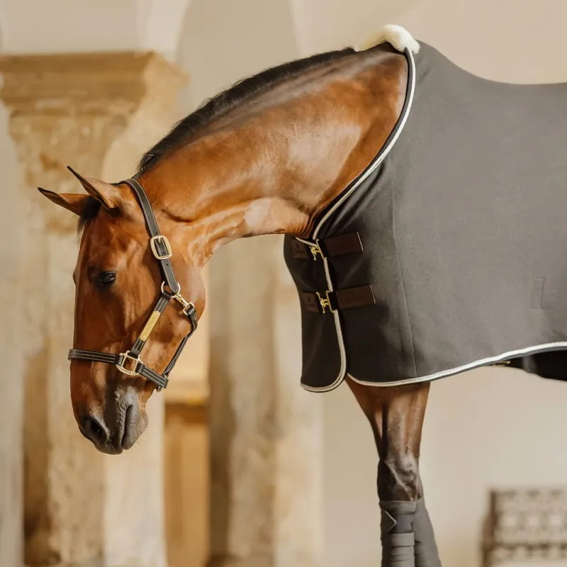 Kentucky Wellington Leather Halter - Black-2