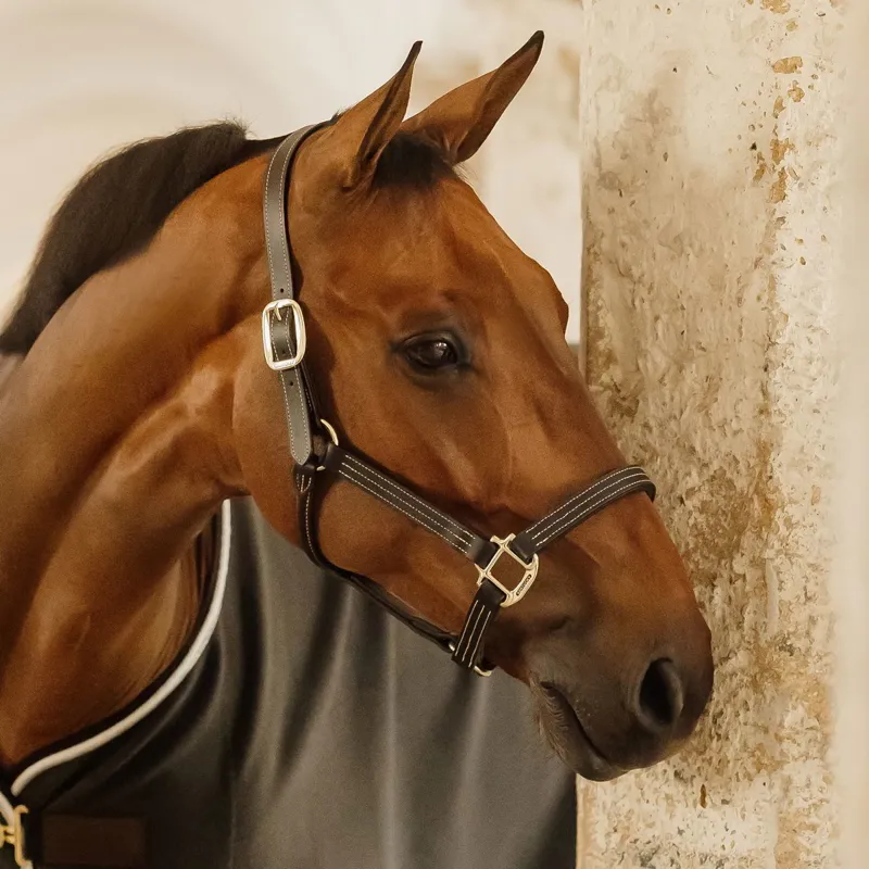 Kentucky Wellington Leather Halter - Black-4