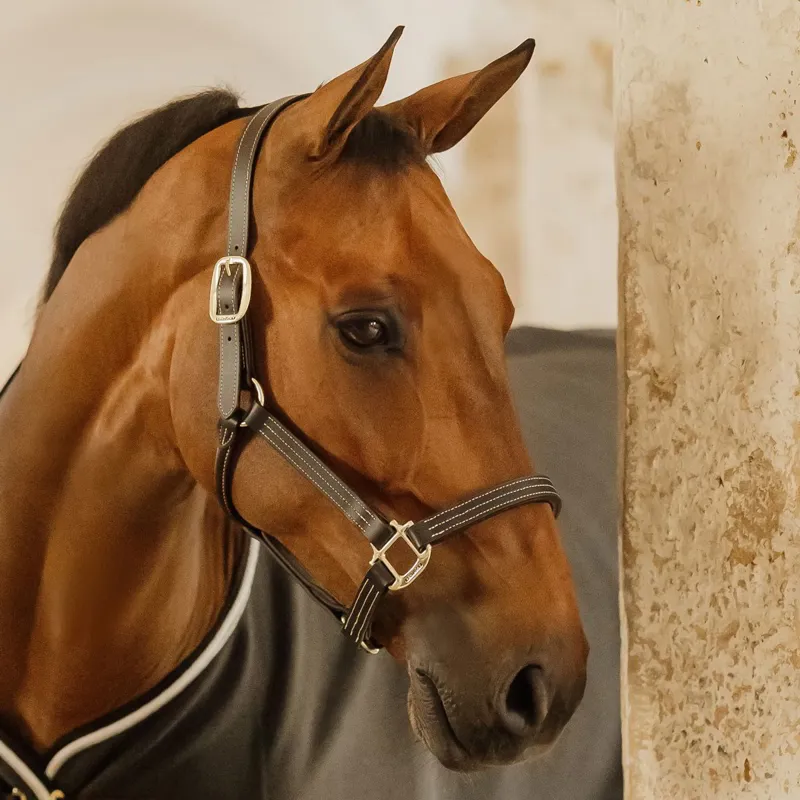Kentucky Wellington Leather Halter - Black-5