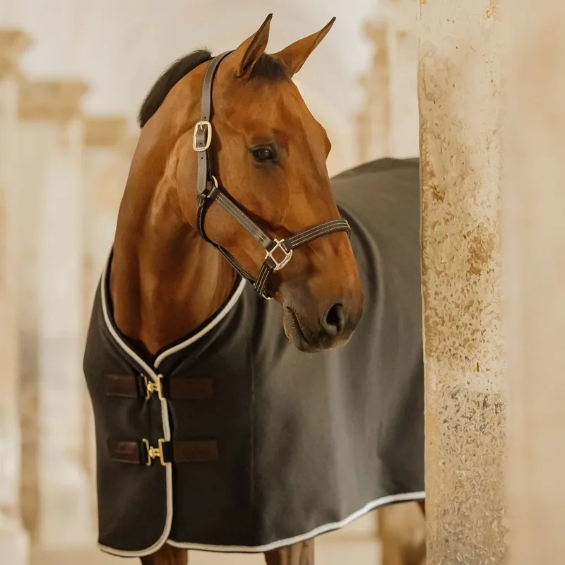 Kentucky Wellington Leather Halter - Black-6