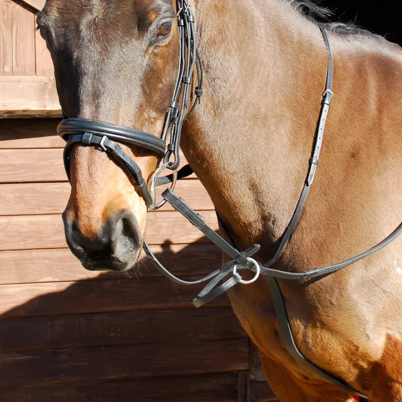Windsor Running Martingale - Black-1