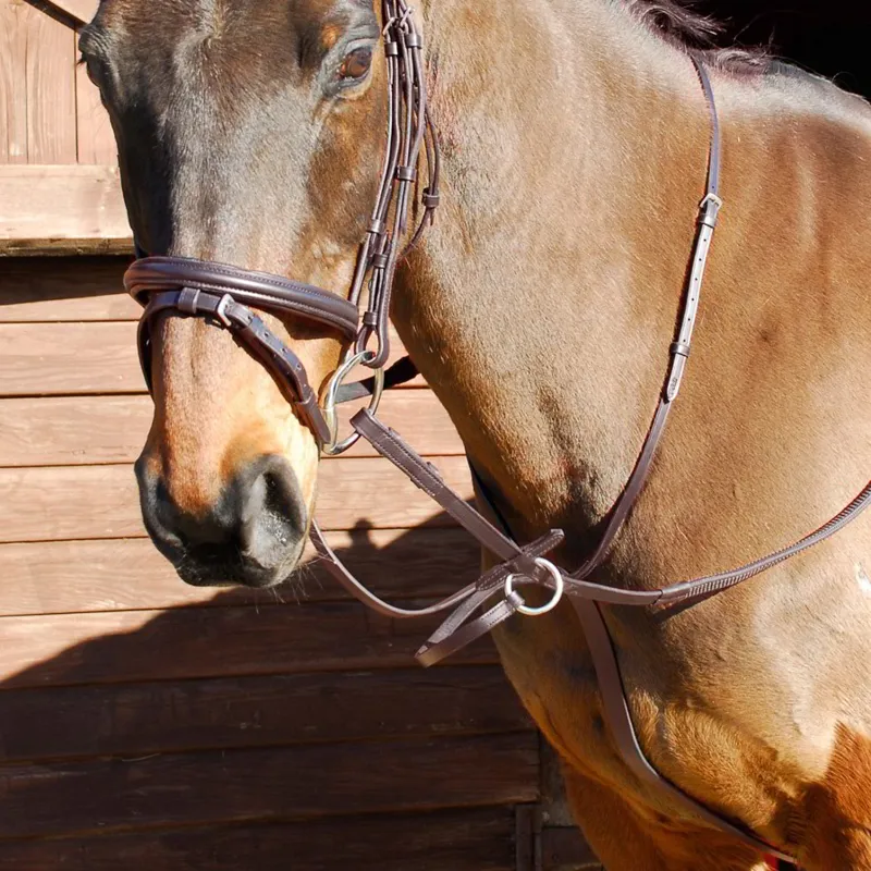 Windsor Running Martingale - Havana-1