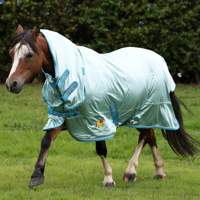 Winnie and Me Combo Neck Fly Sheet - Blue