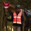 Woof Wear Adults LED Hi-Viz Riding Vest - Pink