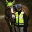 Woof Wear Adult LED Hi-Viz Riding Vest - Yellow