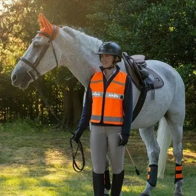 Woof Wear Adult LED Hi-Viz Riding Vest - Orange-2