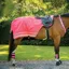 Woof Wear Hi-Vis Waterproof Exercise Sheet - Pink