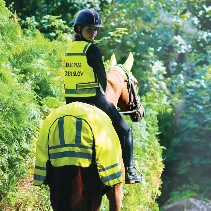 Woof Wear Hi-Viz Exercise Sheet - Yellow-2