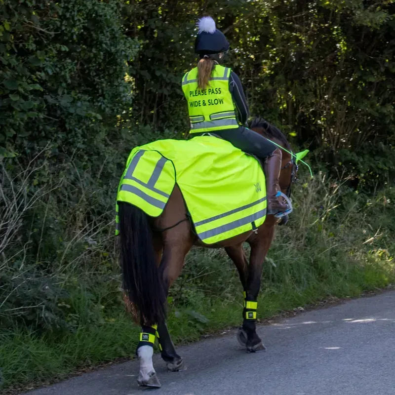 Woof Wear Hi-Viz Exercise Sheet - Yellow-4