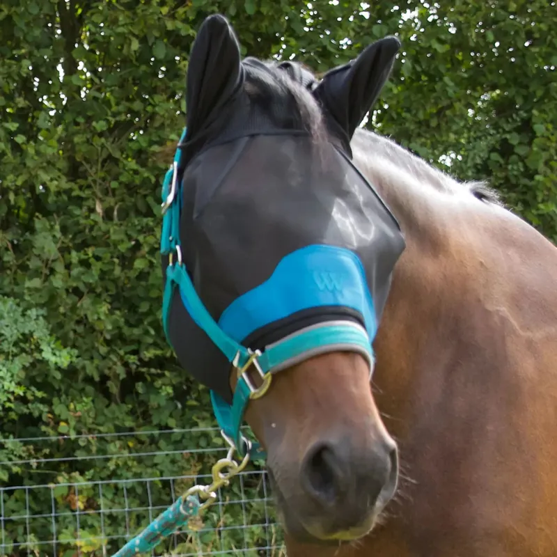 Woof Wear UV Fly Mask With Ears - Black/Turquoise-4