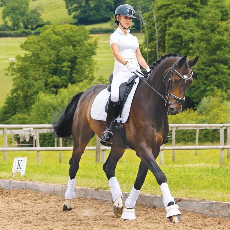 Woof Wear Competition Full Grip Women's Riding Tights - White-6