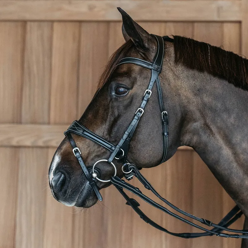 Dy'on Working Motion Bridle - Black-1