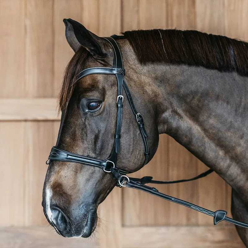 Dy'on Working Motion Bridle - Black-2