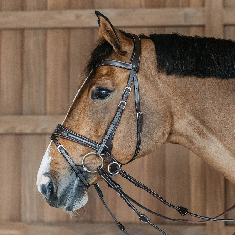 Dyon Working Motion Bridle Brown-1