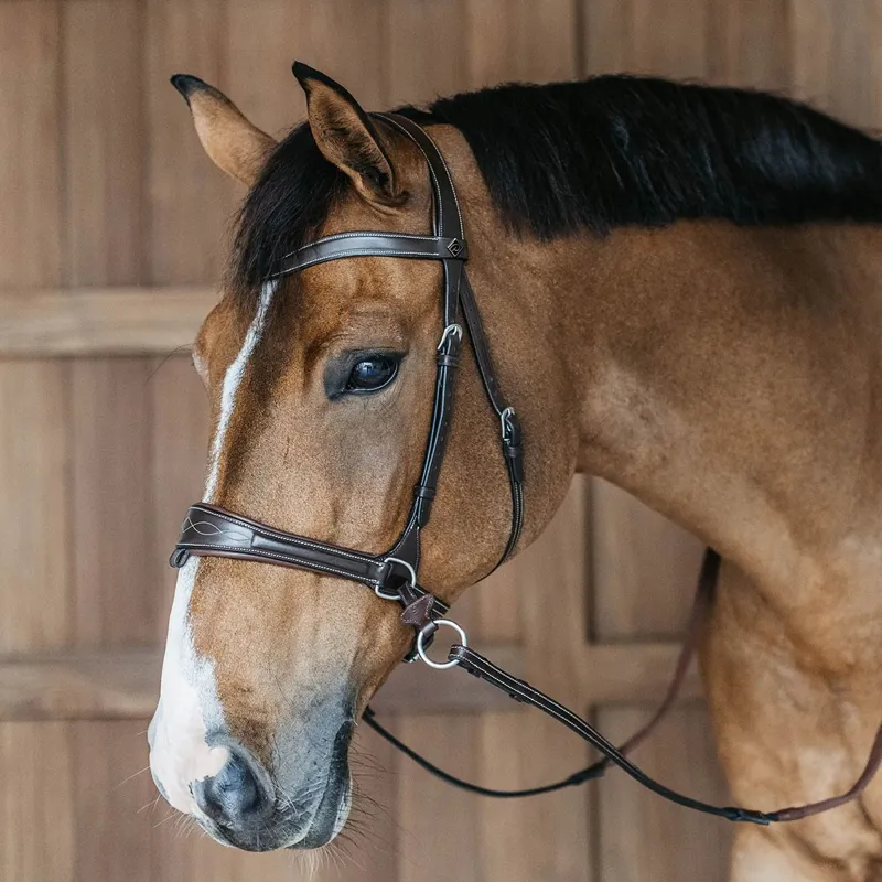 Dyon Working Motion Bridle Brown-2