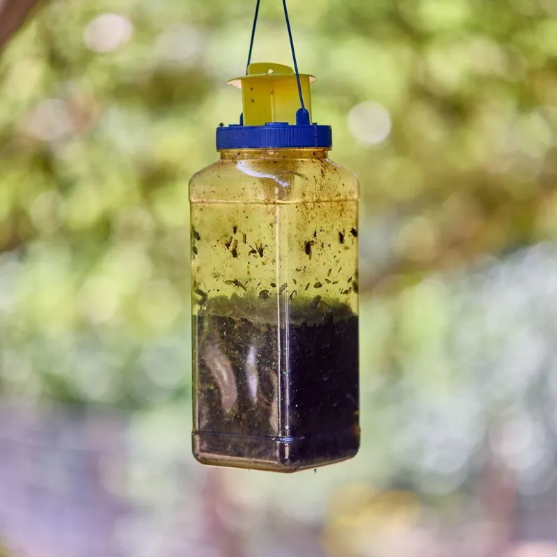 Zero In XL Outdoor Fly Catcher - Twin Pack-2